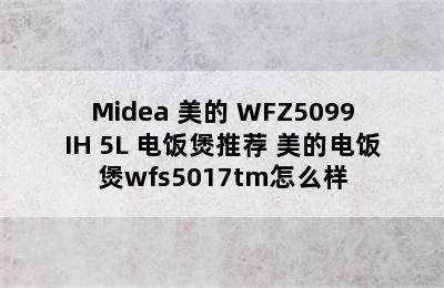 Midea 美的 WFZ5099IH 5L 电饭煲推荐 美的电饭煲wfs5017tm怎么样